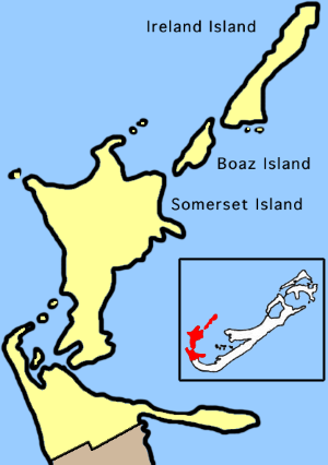 Showing the localization ofSandys